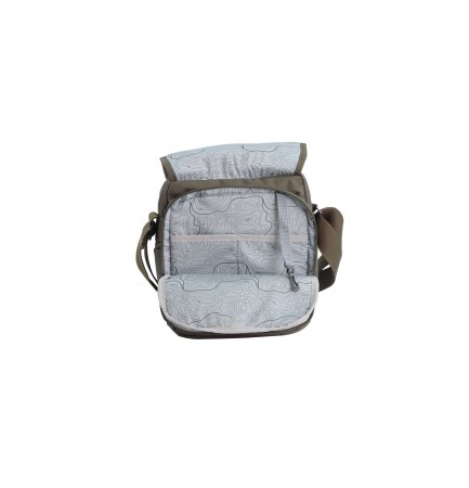 DISCOVERY DOWNTOWN MESSENGER